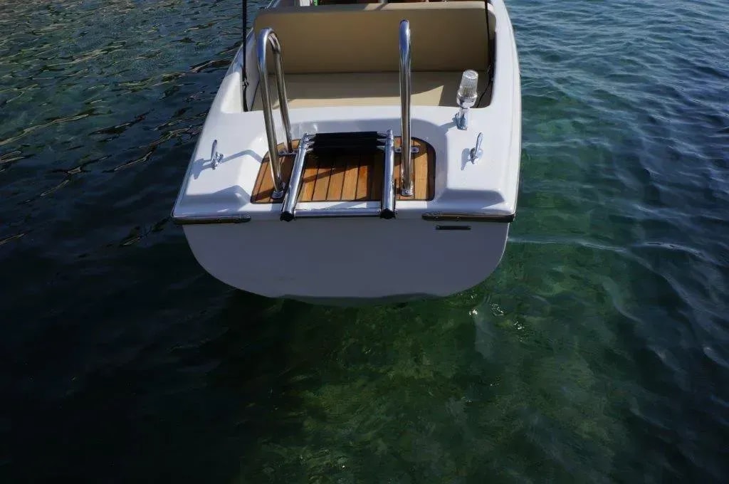 Reparatur und Restaurierung von Elektrobooten in Oberösterreich